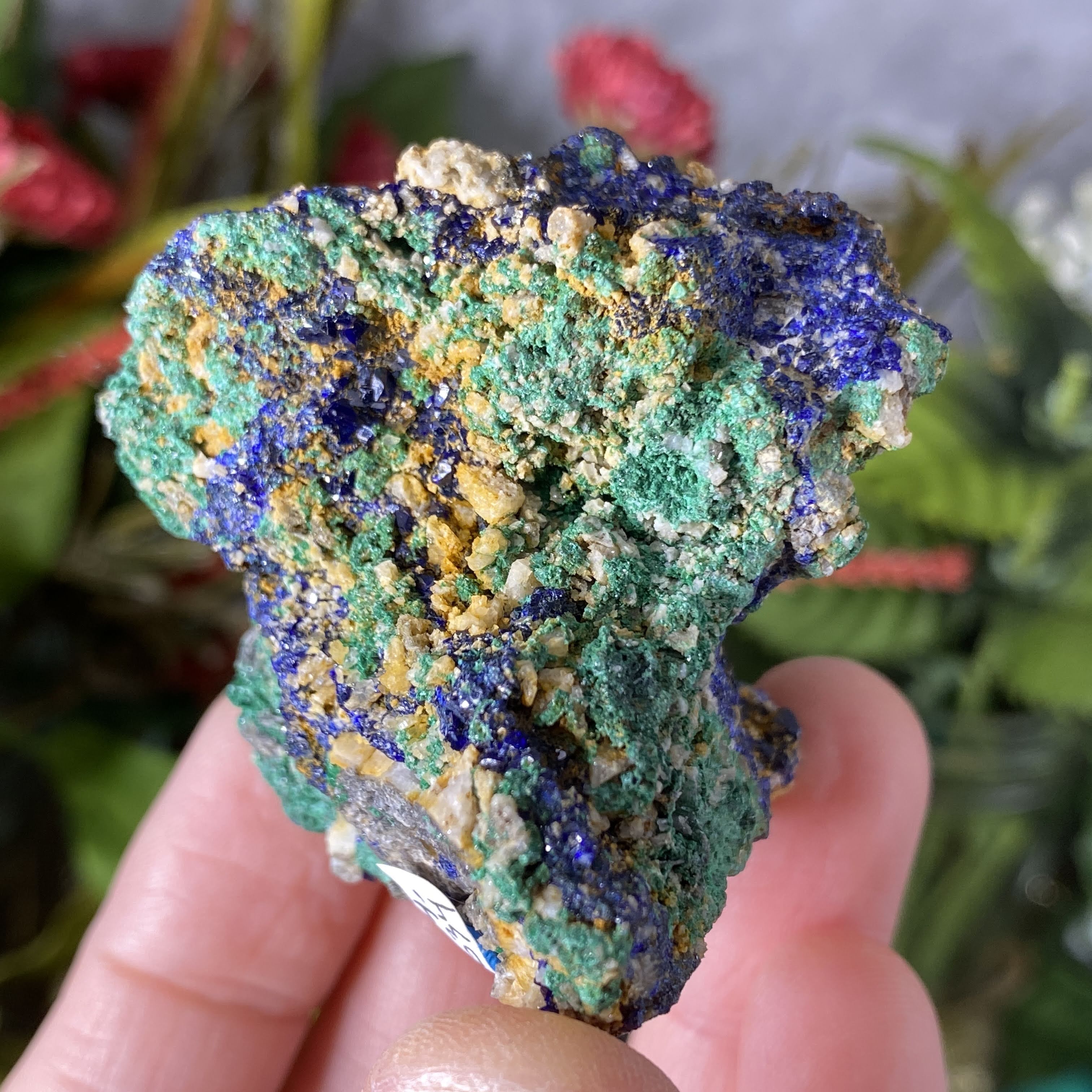 Azurite - Azurite & Malachite Mineral Specimen from Morocco! (C634)