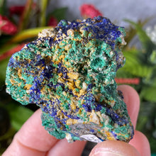 Load image into Gallery viewer, Azurite - Azurite &amp; Malachite Mineral Specimen from Morocco! (C634)