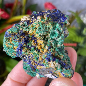 Azurite - Azurite & Malachite Mineral Specimen from Morocco! (C634)