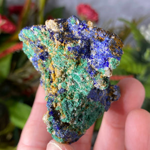 Azurite - Azurite & Malachite Mineral Specimen from Morocco! (C634)