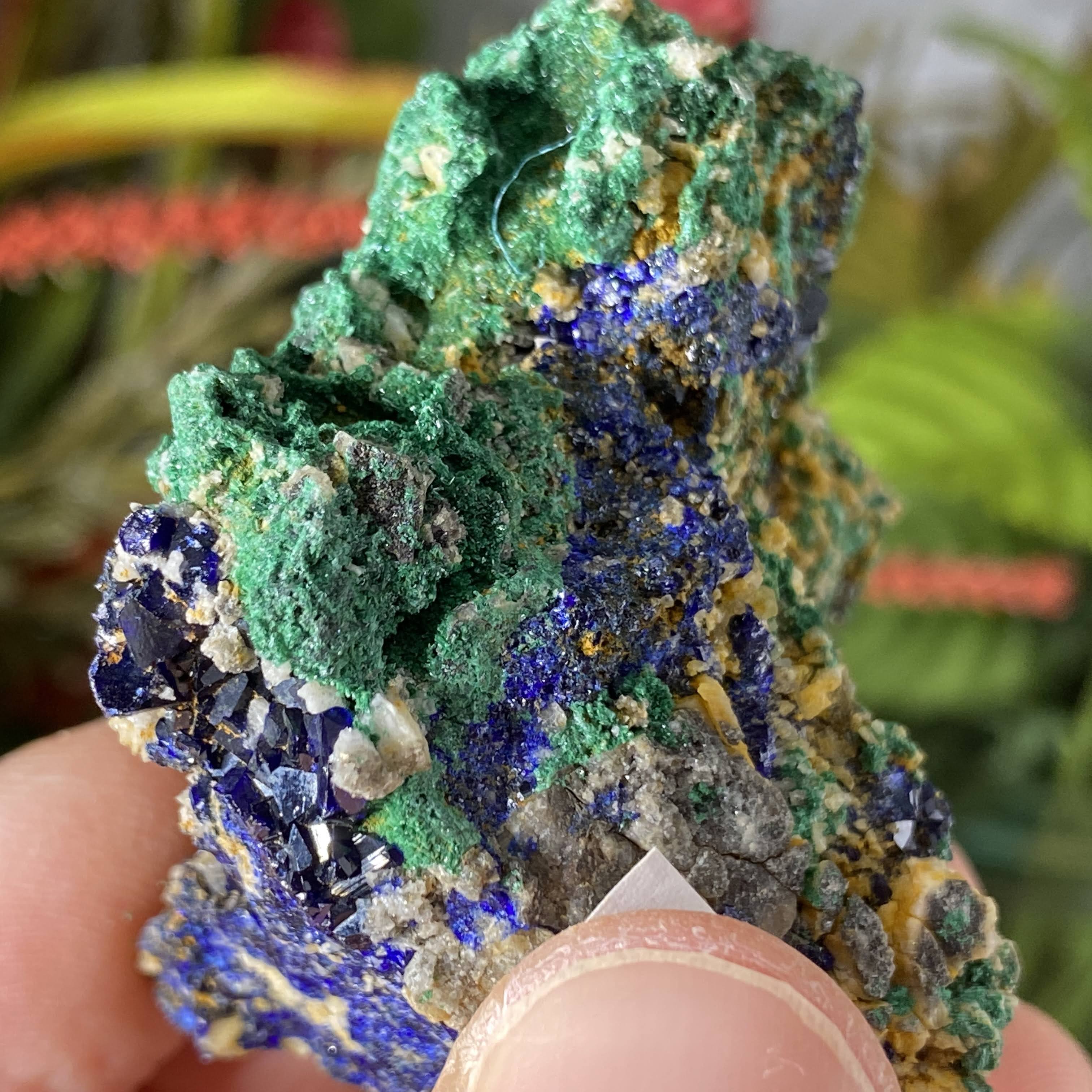 Enchanted Earth Minerals