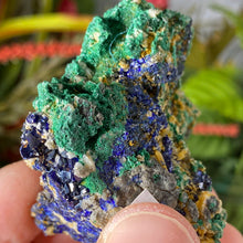 Load image into Gallery viewer, Azurite - Azurite &amp; Malachite Mineral Specimen from Morocco! (C634)