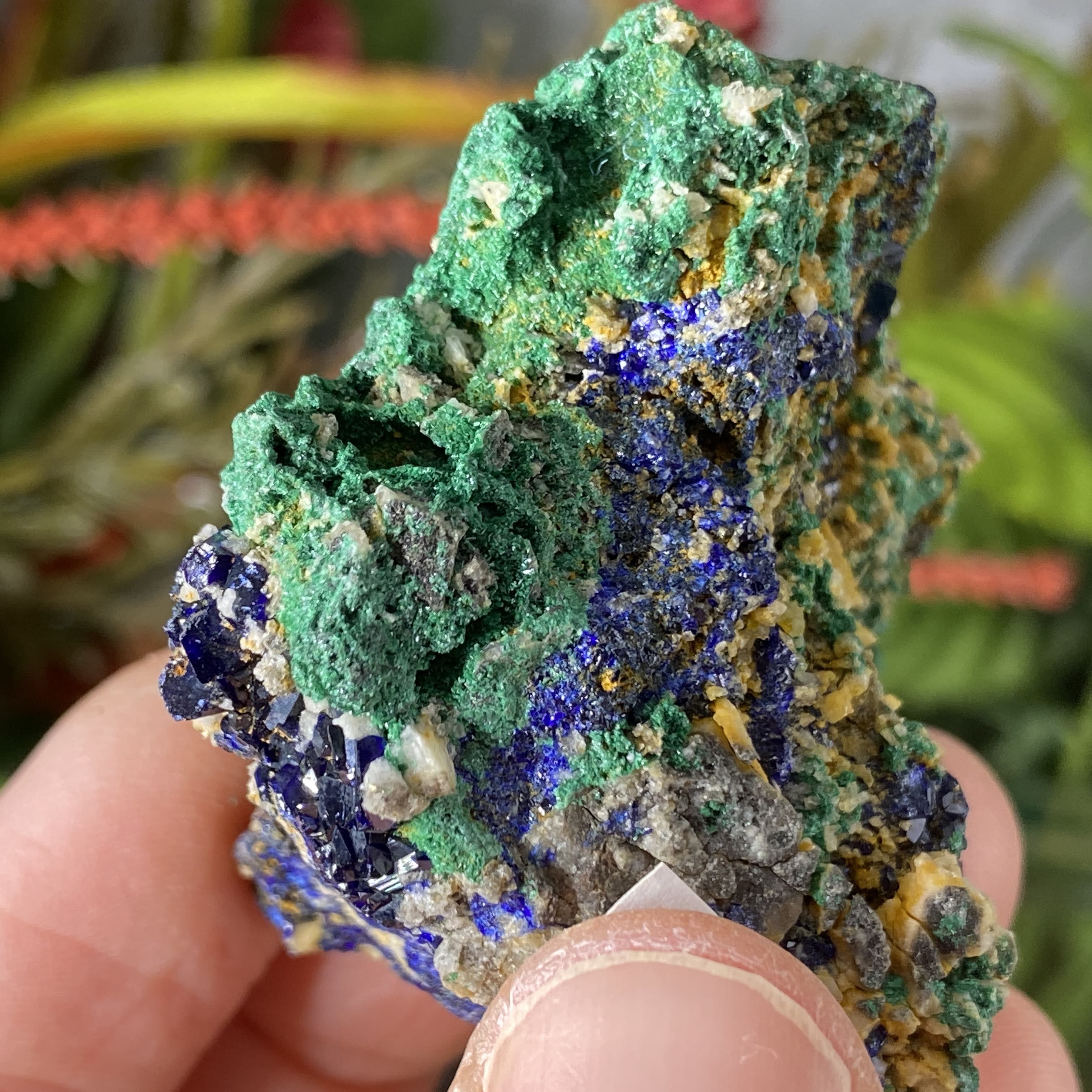 Enchanted Earth Minerals