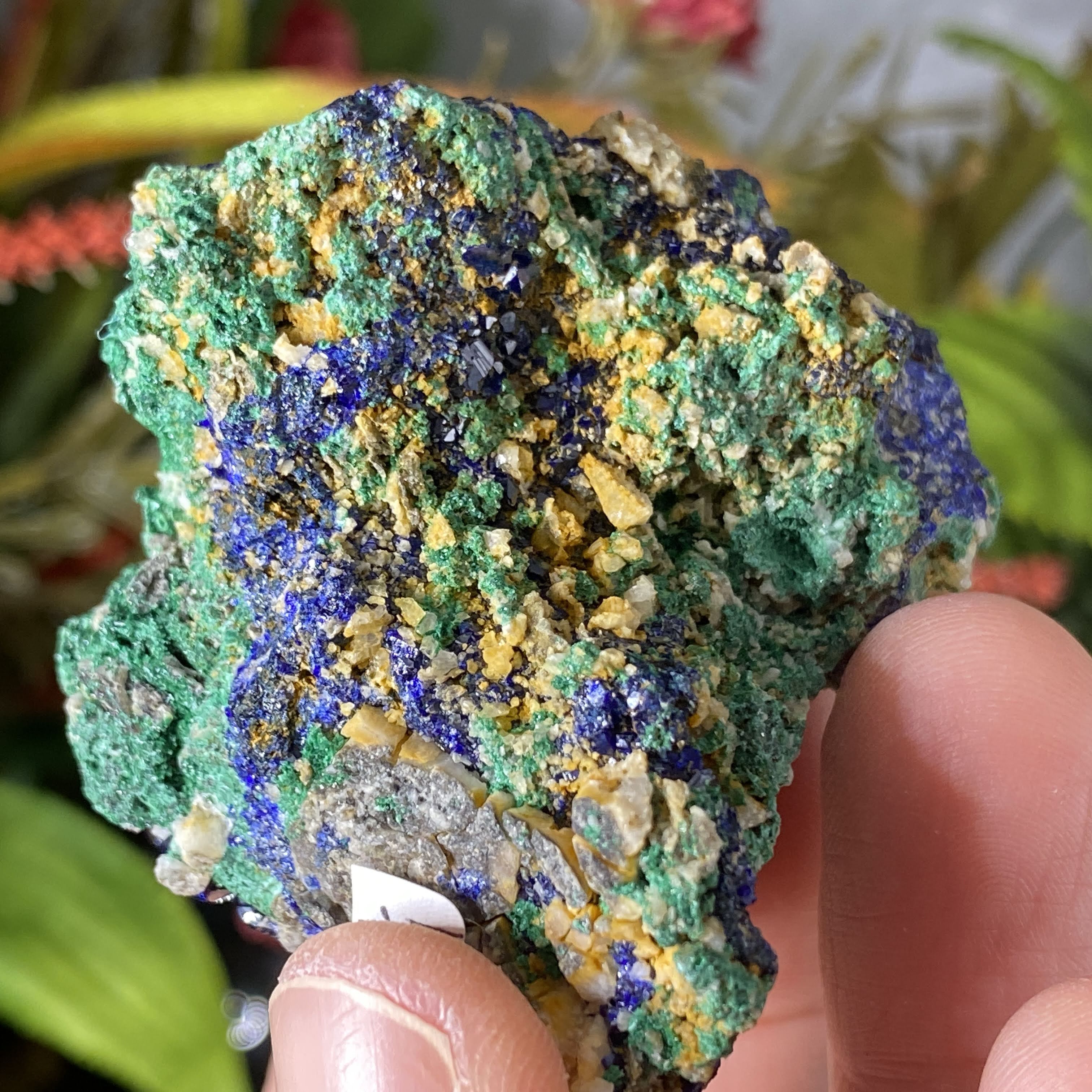 Enchanted Earth Minerals