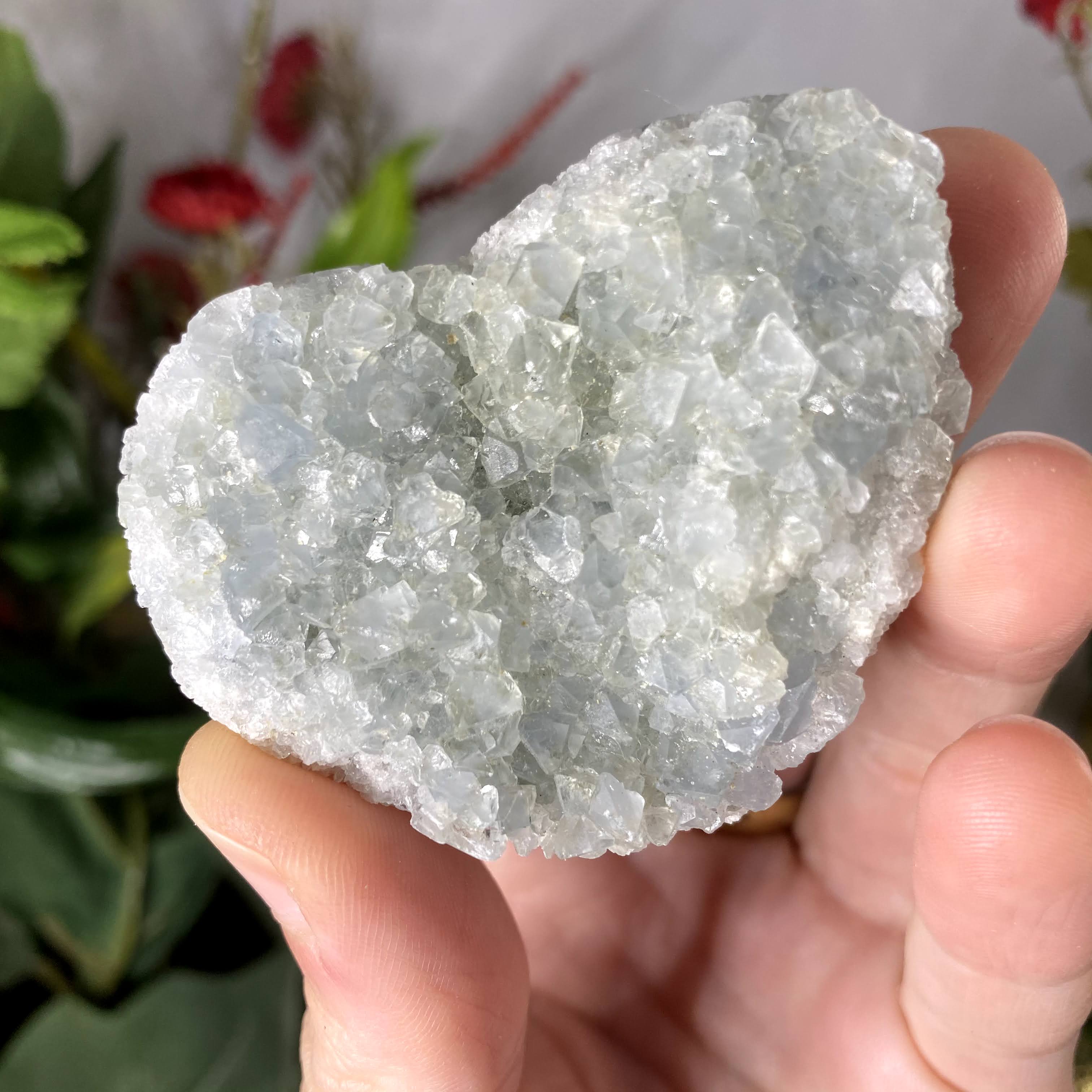 Celestite- Raw Crystal Cluster Heart! (B730)