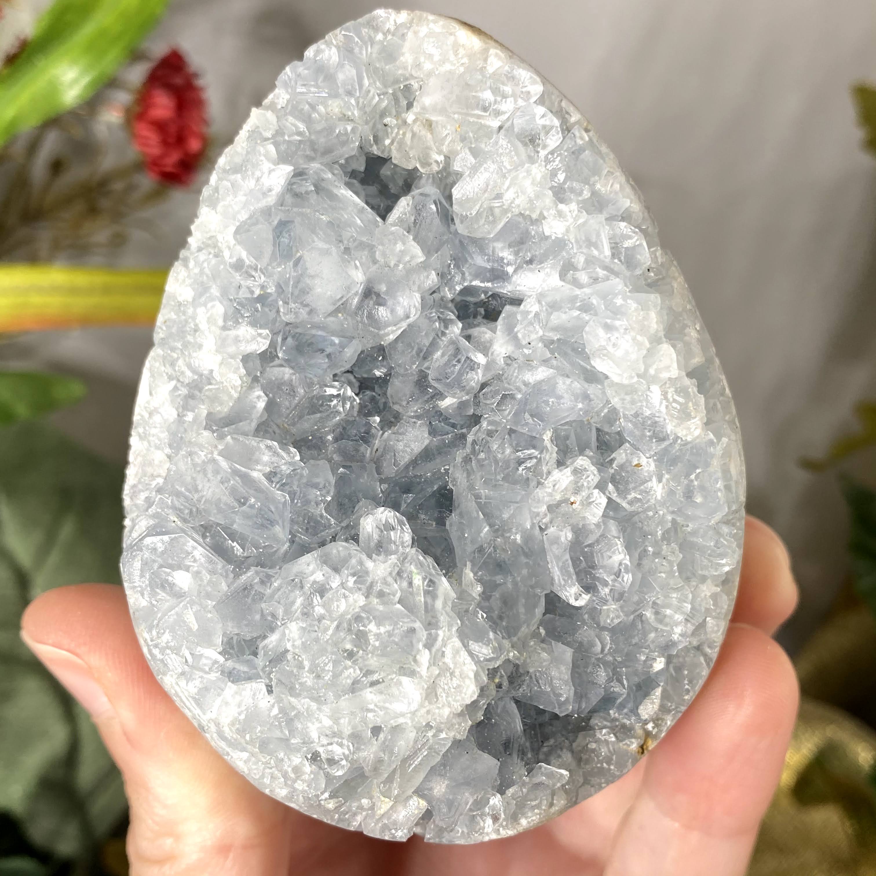 Celestite- Large Raw Celestite Crystal Cluster Egg! (B734)