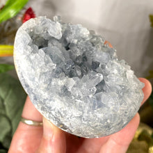 Load image into Gallery viewer, Celestite- Large Raw Celestite Crystal Cluster Egg! (B734)