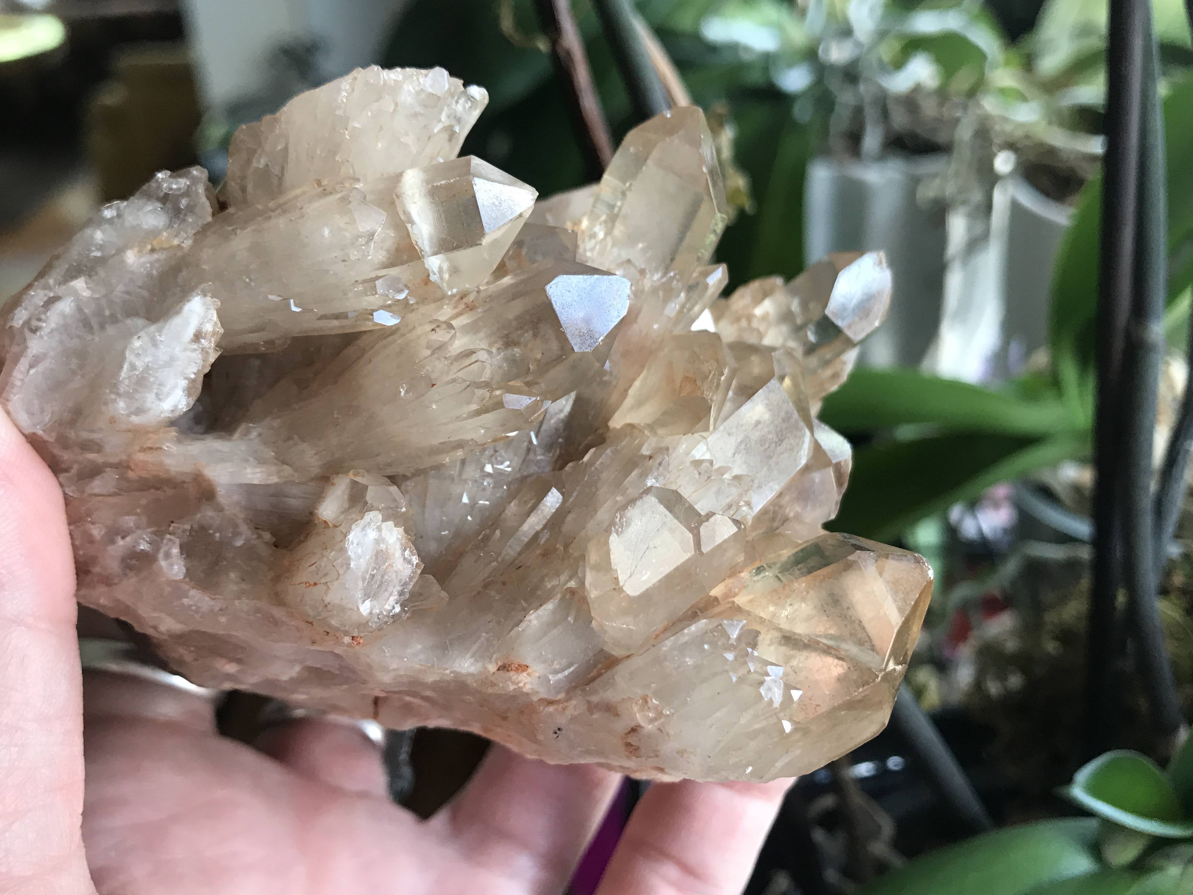 Citrine- Self Standing Congo / “Kundalini” Citrine Large Cluster! #309