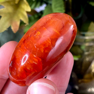 Carnelian - Polished Carnelian Fiery Palm Stones! Choose the one that speaks to YOU! (B20/B21/B23/352/A183)