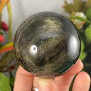 Obsidian - Gold Sheen Obsidian Sphere! C611 55.5mm
