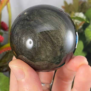 Obsidian - Gold Sheen Obsidian Sphere! C611 55.5mm