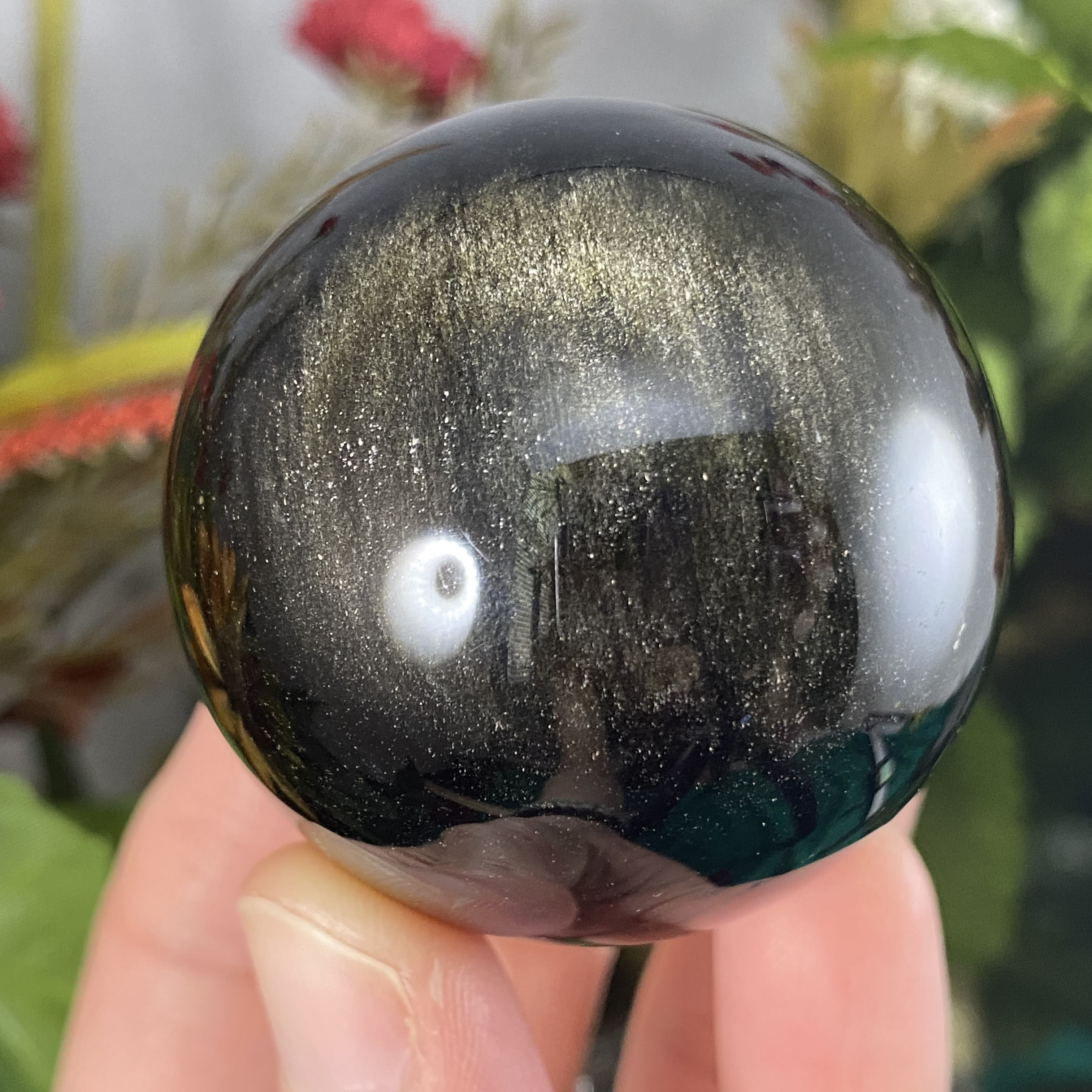 Obsidian - Gold Sheen Obsidian Sphere! C609 49.5mm