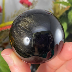 Obsidian - Gold Sheen Obsidian Sphere! C609 49.5mm