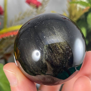Obsidian - Gold Sheen Obsidian Sphere! C609 49.5mm
