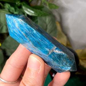 Apatite - Blue Apatite Double Terminated Shaped Points / Wands! (B209-B210-B211)