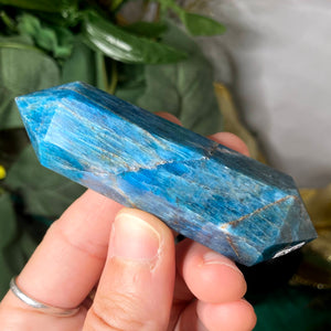 Apatite - Blue Apatite Double Terminated Shaped Points / Wands! (B209-B210-B211)