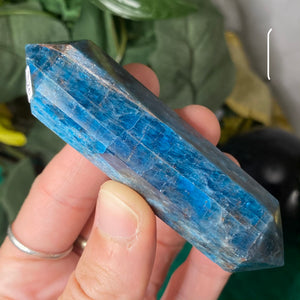 Apatite - Blue Apatite Double Terminated Shaped Points / Wands! (B212-B214)