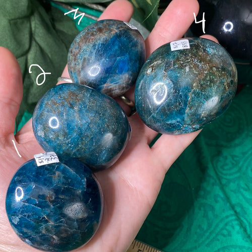 Apatite - Blue Apatite Palm Stones! (371-374-b29-b33)