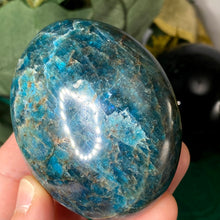 Load image into Gallery viewer, Apatite - X-Large GORGEOUS Blue Apatite Palm Stone! B35