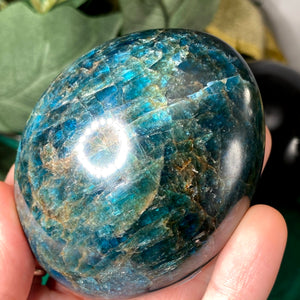 Apatite - X-Large GORGEOUS Blue Apatite Palm Stone! B35