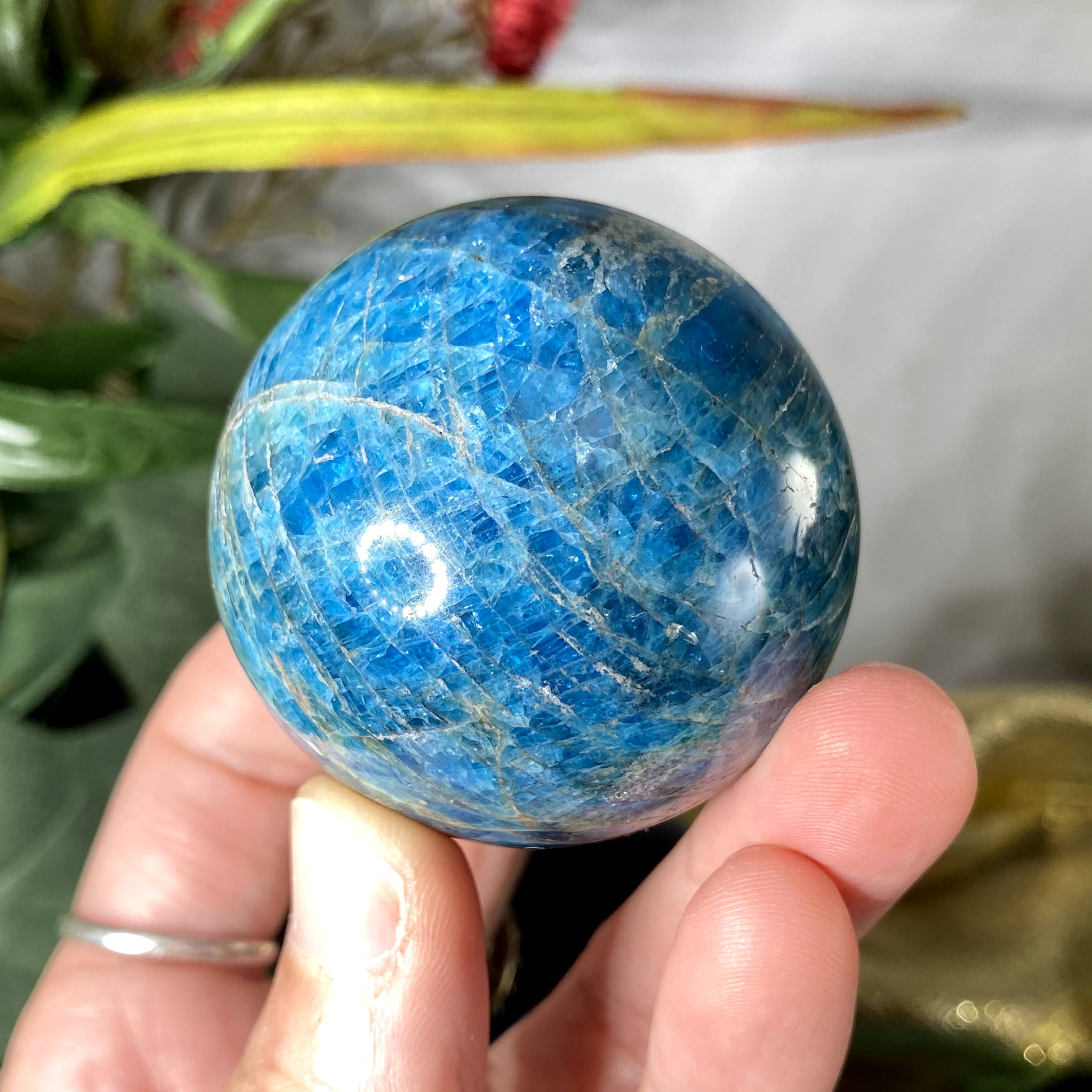 Apatite - Blue Apatite 50mm Sphere! A926