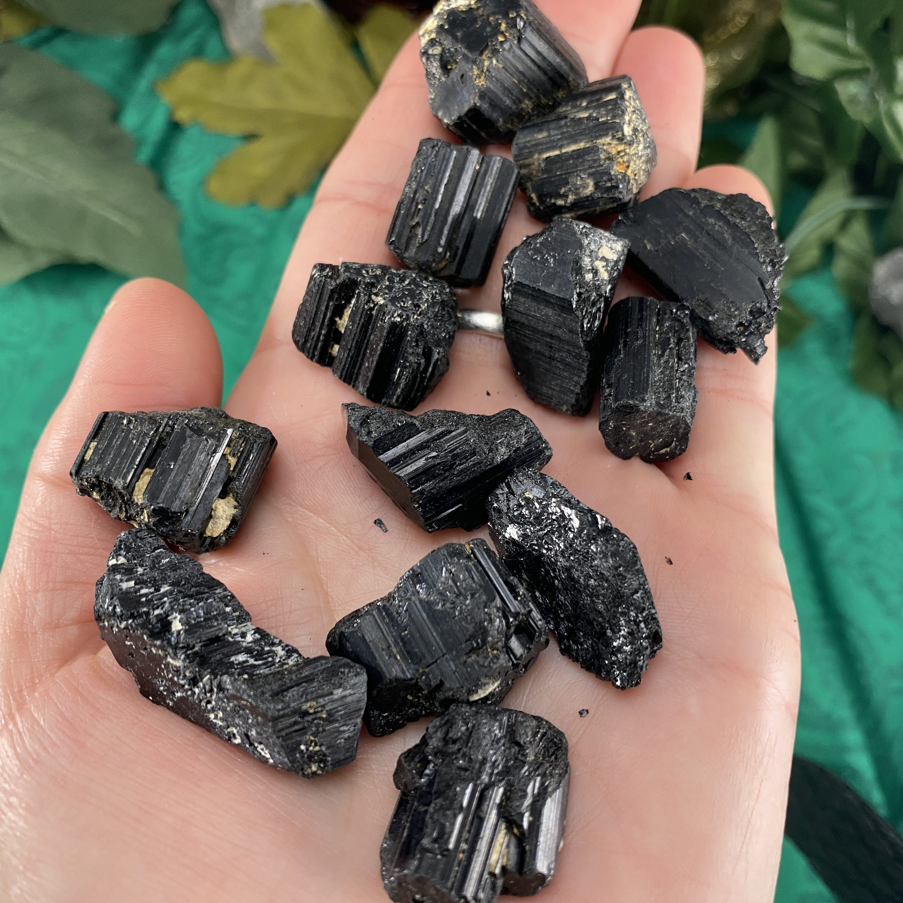 Black Tourmaline (schorl) - Small Black Tourmaline Raw! C216