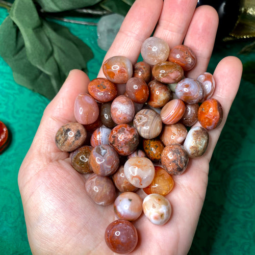 Carnelian - Carnelian Tumbled Stone - Price for one single stone or save more buy bulk! (A979 SM)