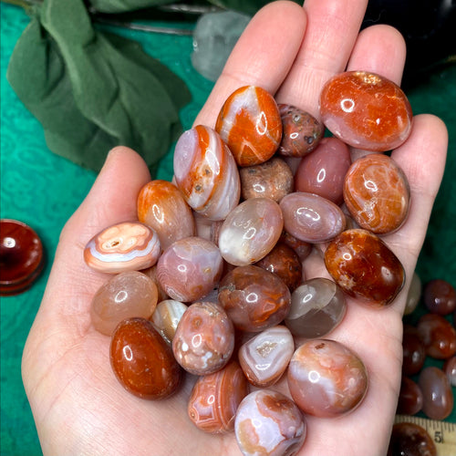 Carnelian - Carnelian Tumbled Stone - Price for one single stone or save more buy bulk! (A980 MED)