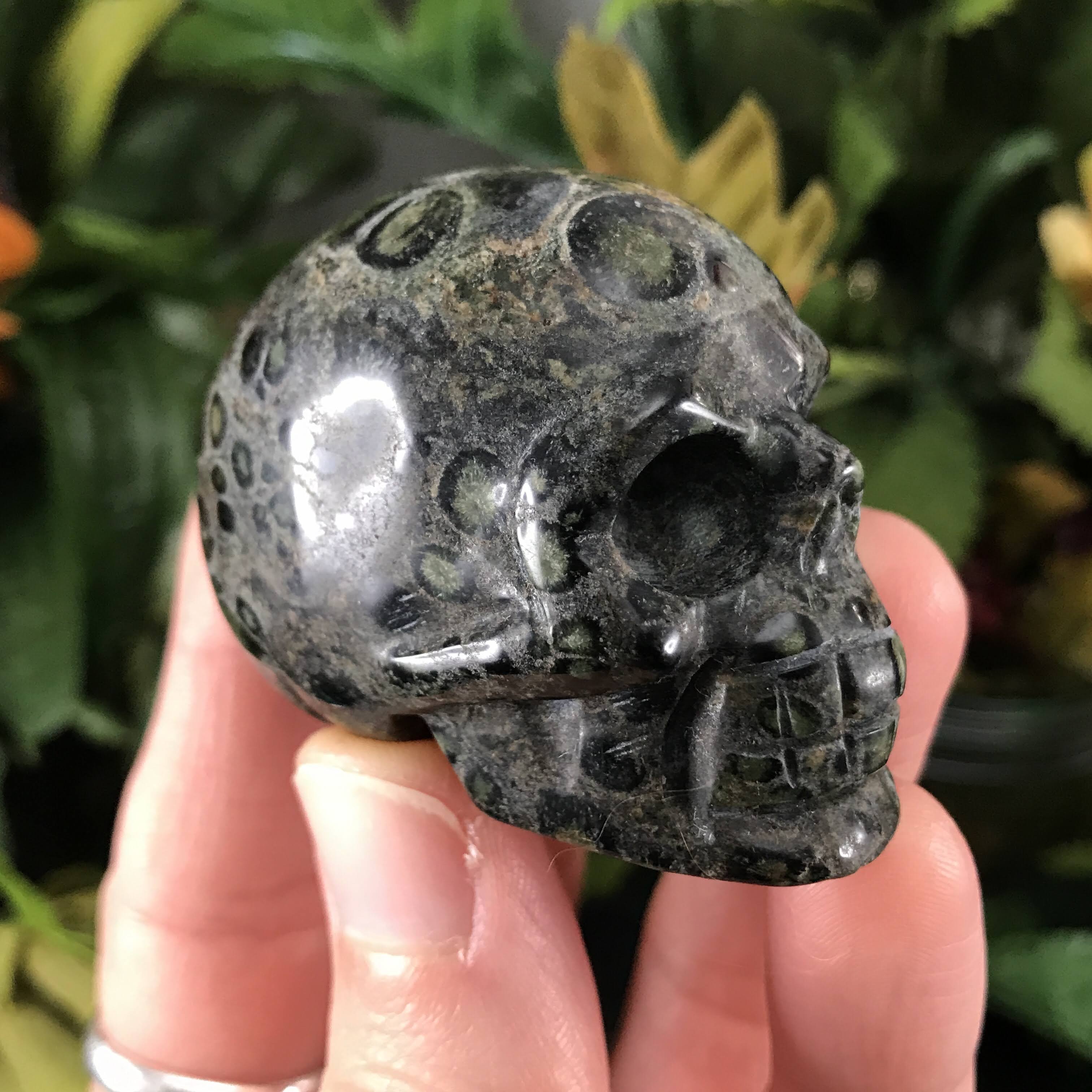 Obsidian & Larvikite Crystal Skulls! (644)