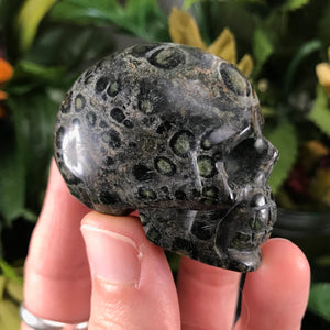 Obsidian & Larvikite Crystal Skulls! (644)