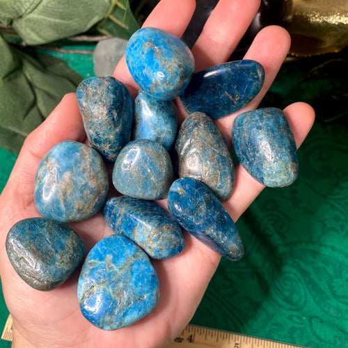 Apatite - Blue Apatite Tumbled Stones Medium! A971