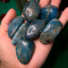Load image into Gallery viewer, Apatite - Blue Apatite Tumbled Stones Large! A973