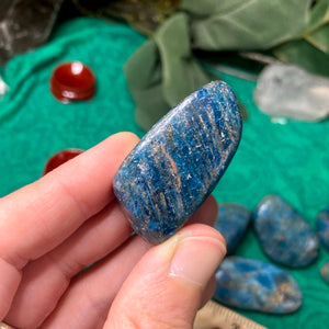 Apatite - Blue Apatite Tumbled Stones Large! A973