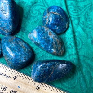 Apatite - Blue Apatite Tumbled Stones Large! A973
