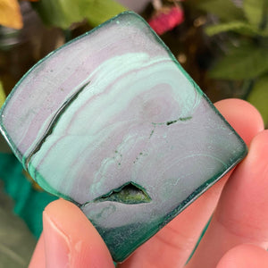 Malachite - Lovely Polished Malachite! (B238/B240/B246)