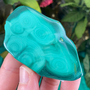 Malachite - Lovely Polished Malachite! (B238/B240/B246)