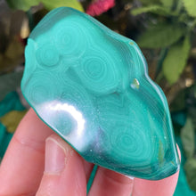 Load image into Gallery viewer, Malachite - Lovely Polished Malachite! (B238/B240/B246)