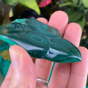 Malachite - Lovely Polished Malachite! (B238/B240/B246)