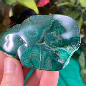 Malachite - Lovely Polished Malachite! (B238/B240/B246)