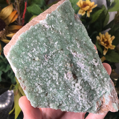 Fluorite & druzy quartz Mineral Specimen!  (Unaweep Colorado, American minerals!)