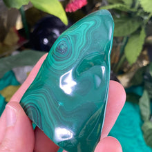 Load image into Gallery viewer, Malachite - Lovely Polished Malachite! (B238/B240/B246)