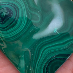 Malachite - Lovely Polished Malachite! (B238/B240/B246)