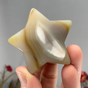 Agate - Dreamy Agate Stars! Some with Druzy! (B665-1/B665-2/B665-3/B665-4)