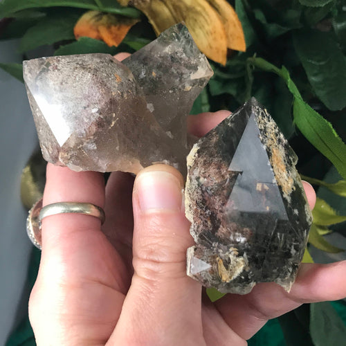 Lodolite / Shamanic Dream-Stone / Scenic Quartz Crystals! #625 #626