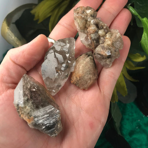 Lodolite / Shamanic Dream-Stone / Scenic Quartz Crystals! #602/607/611/622