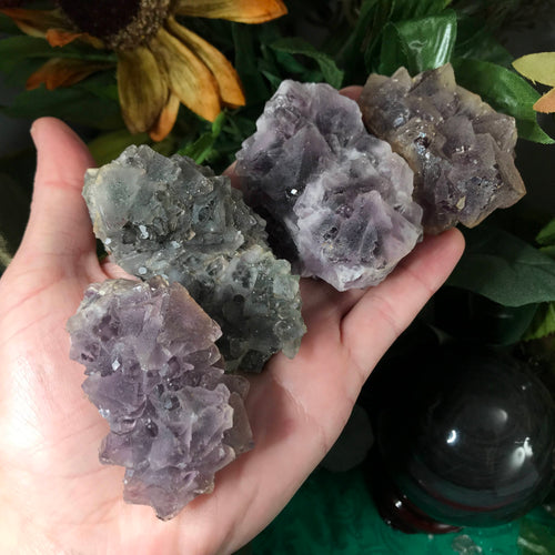 Fluorite - Super Sweet Purple & Green Fujian Fluorite Specimens! (832,833,837,834)