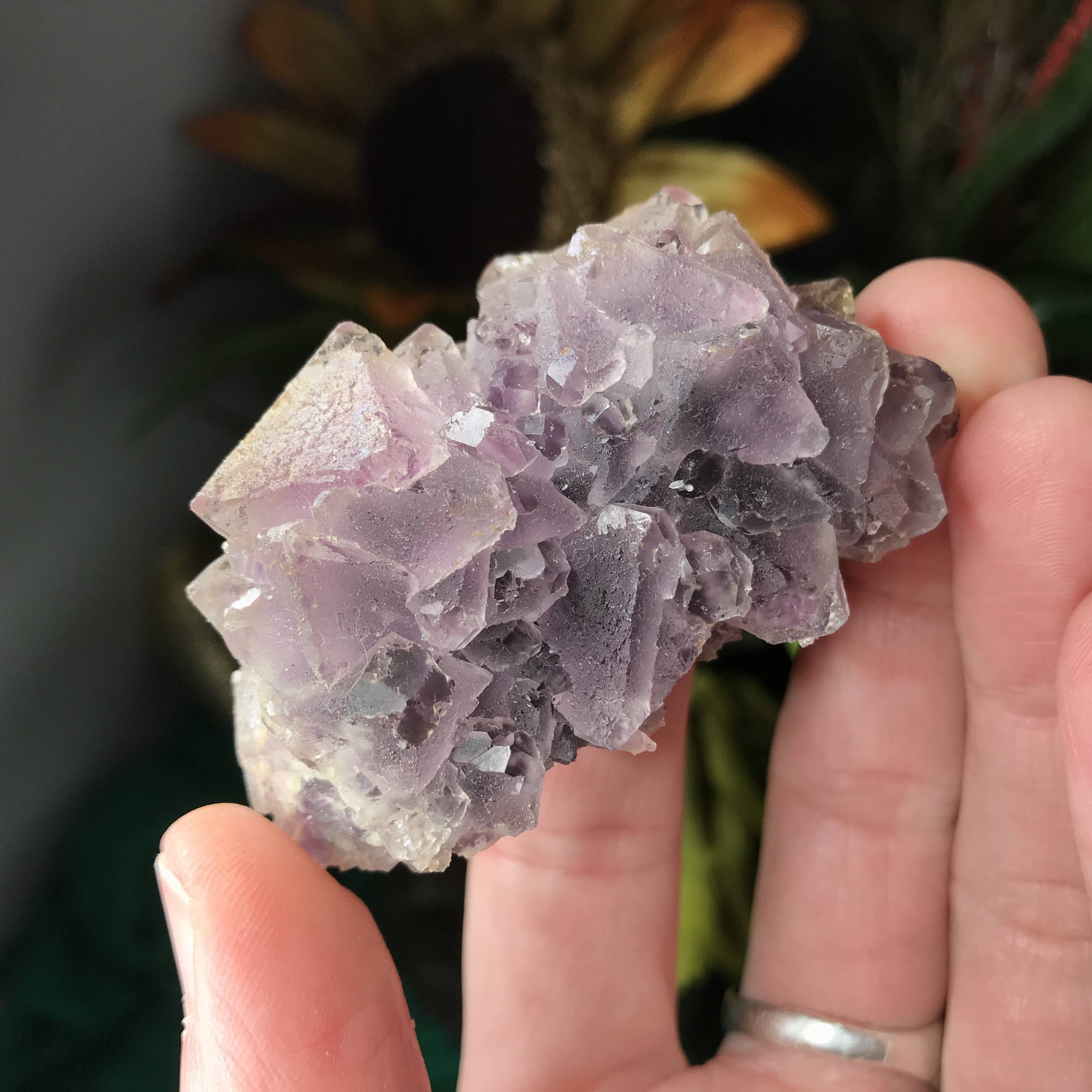 Fluorite - Super Sweet Purple & Green Fujian Fluorite Specimens! (832,833,837,834)