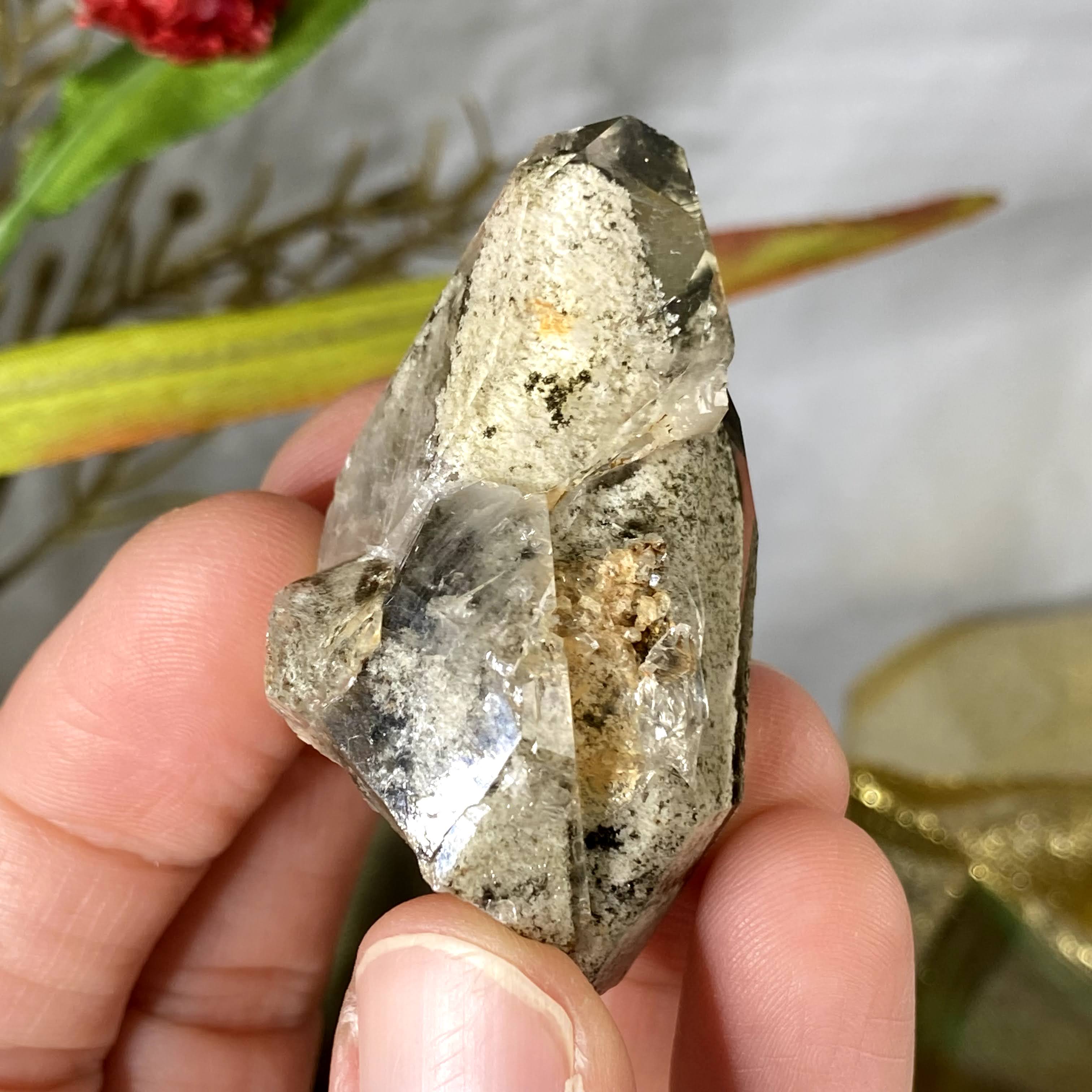 Lodolite / Scenic Quartz / Shamanic Dream Stone / Included Quartz Crystal Specimen! (624)