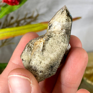 Lodolite / Scenic Quartz / Shamanic Dream Stone / Included Quartz Crystal Specimen! (624)