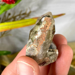 Lodolite / Scenic Quartz / Shamanic Dream Stone / Included Quartz Crystal Specimen! (624)